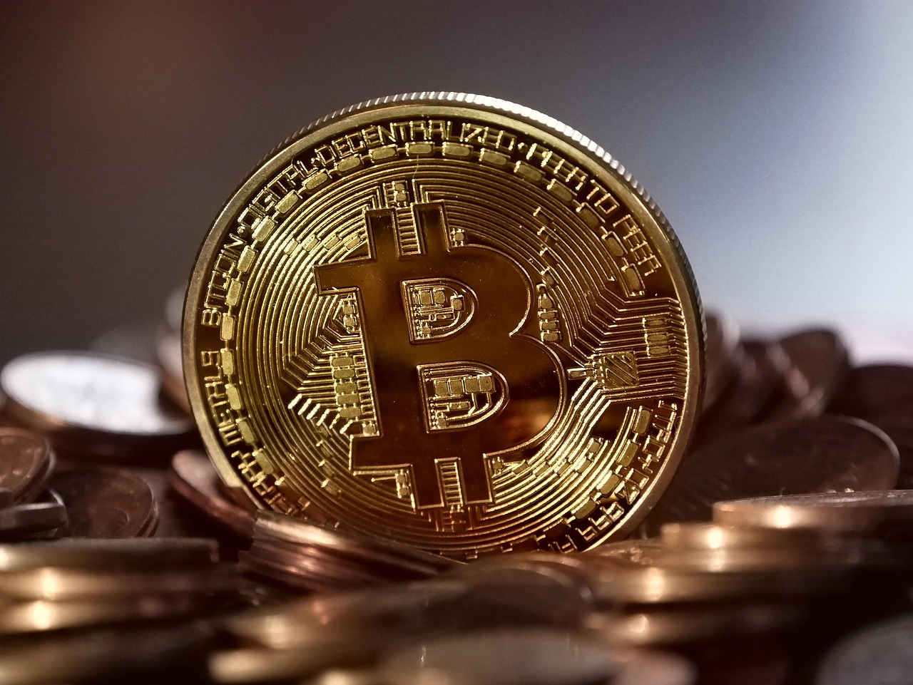 比特币减半满周年、涨逾三成！机构进场加速牛市